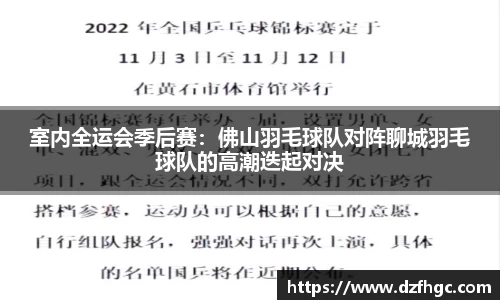 室内全运会季后赛：佛山羽毛球队对阵聊城羽毛球队的高潮迭起对决